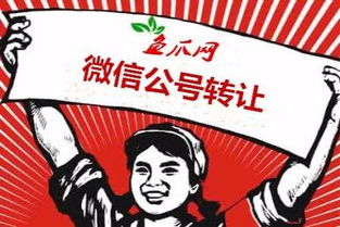 今日头条账号审核不通过或被封禁的应对策略与网络信息转让注意事项